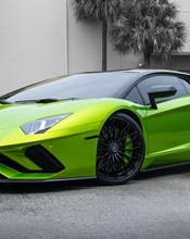 K75454 Dynamic Lime 6